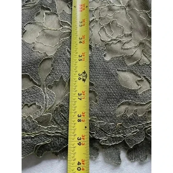 Tadashi Shoji Ilussion Yoke Lace Cocktail  Dress Knee length size 6 - Picture 8 of 11